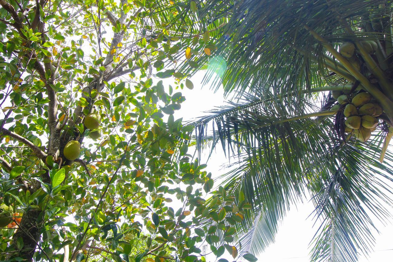 Dedunu Home Bentota Exteriér fotografie